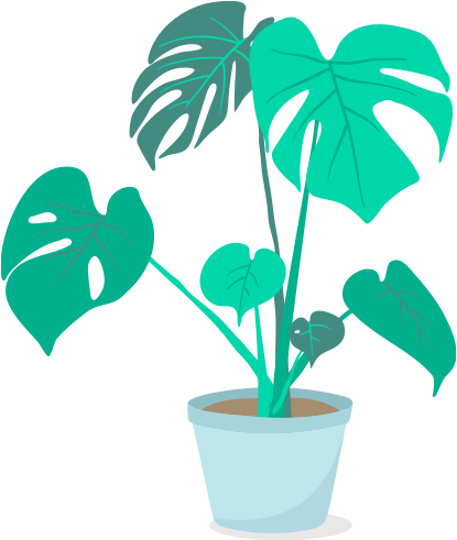 plant 6