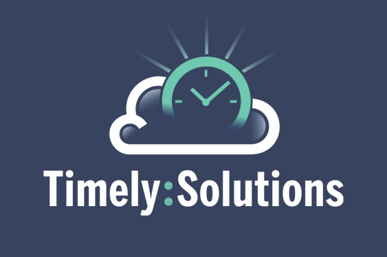 timely solutions logo