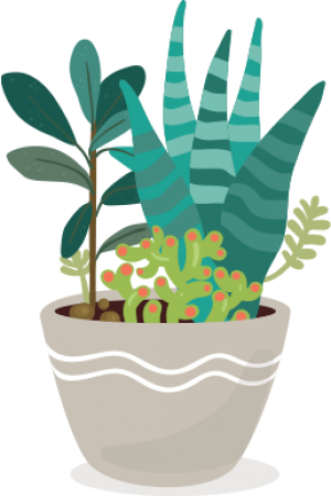 plant 4