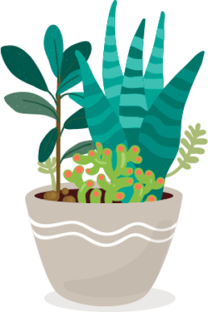 plant 4 plant 4